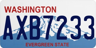 WA license plate AXB7233