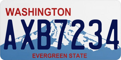 WA license plate AXB7234