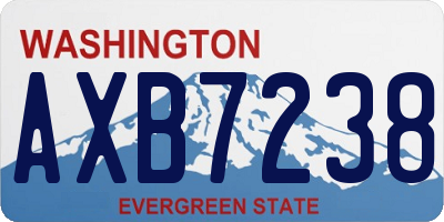 WA license plate AXB7238