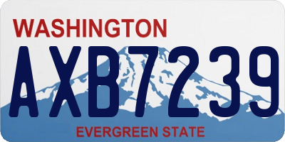 WA license plate AXB7239