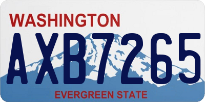 WA license plate AXB7265
