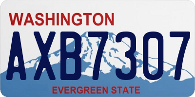 WA license plate AXB7307