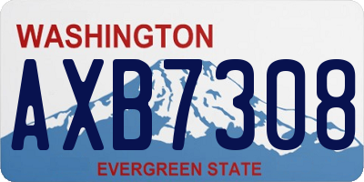 WA license plate AXB7308