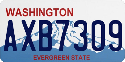 WA license plate AXB7309