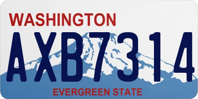 WA license plate AXB7314