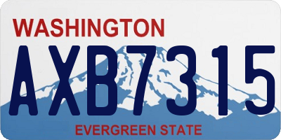 WA license plate AXB7315