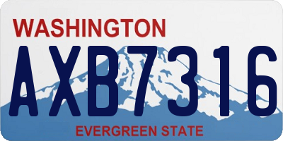 WA license plate AXB7316