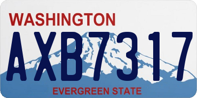 WA license plate AXB7317