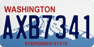 WA license plate AXB7341