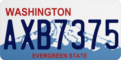 WA license plate AXB7375