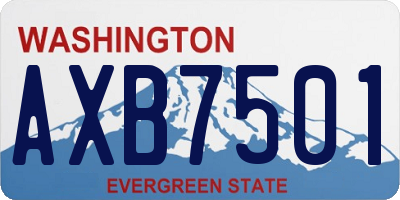 WA license plate AXB7501