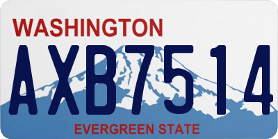 WA license plate AXB7514