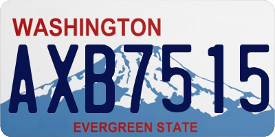 WA license plate AXB7515