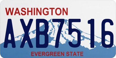 WA license plate AXB7516