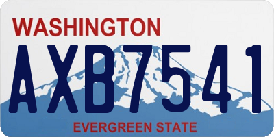 WA license plate AXB7541