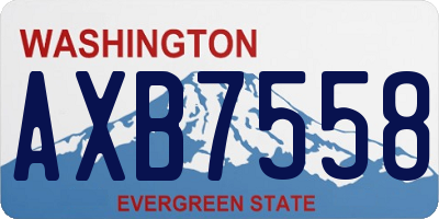 WA license plate AXB7558