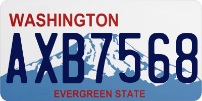 WA license plate AXB7568