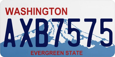 WA license plate AXB7575