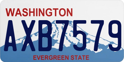WA license plate AXB7579