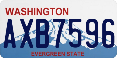 WA license plate AXB7596