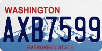 WA license plate AXB7599