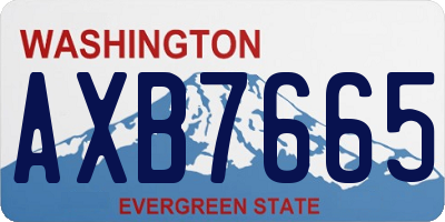 WA license plate AXB7665