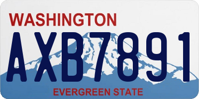 WA license plate AXB7891