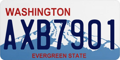 WA license plate AXB7901