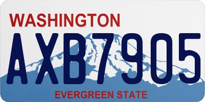 WA license plate AXB7905