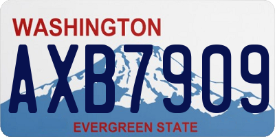 WA license plate AXB7909