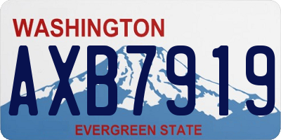 WA license plate AXB7919