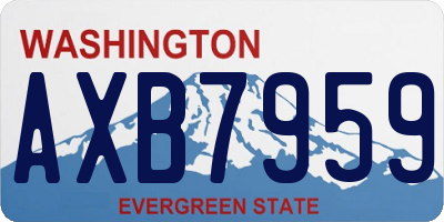 WA license plate AXB7959