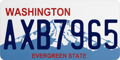 WA license plate AXB7965