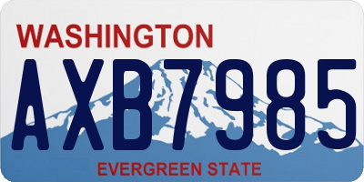 WA license plate AXB7985