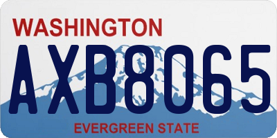 WA license plate AXB8065