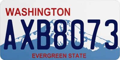 WA license plate AXB8073