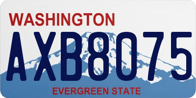 WA license plate AXB8075