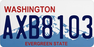 WA license plate AXB8103