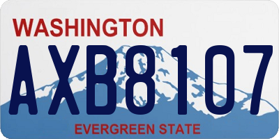 WA license plate AXB8107