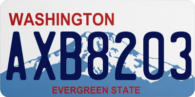 WA license plate AXB8203