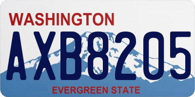WA license plate AXB8205