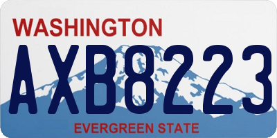 WA license plate AXB8223