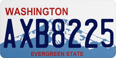 WA license plate AXB8225