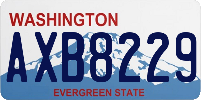 WA license plate AXB8229