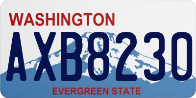 WA license plate AXB8230