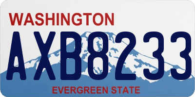 WA license plate AXB8233
