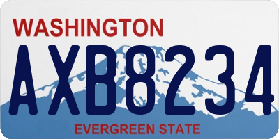 WA license plate AXB8234