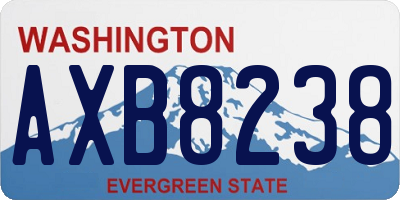 WA license plate AXB8238