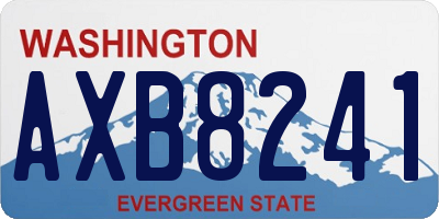 WA license plate AXB8241
