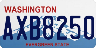WA license plate AXB8250